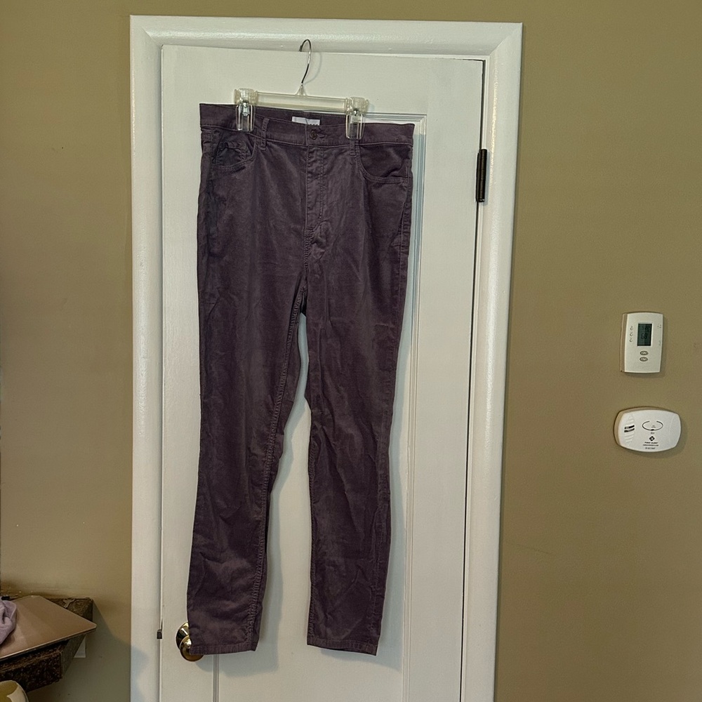 NWT Loft Purple Velvet Skinny Pants 31/12